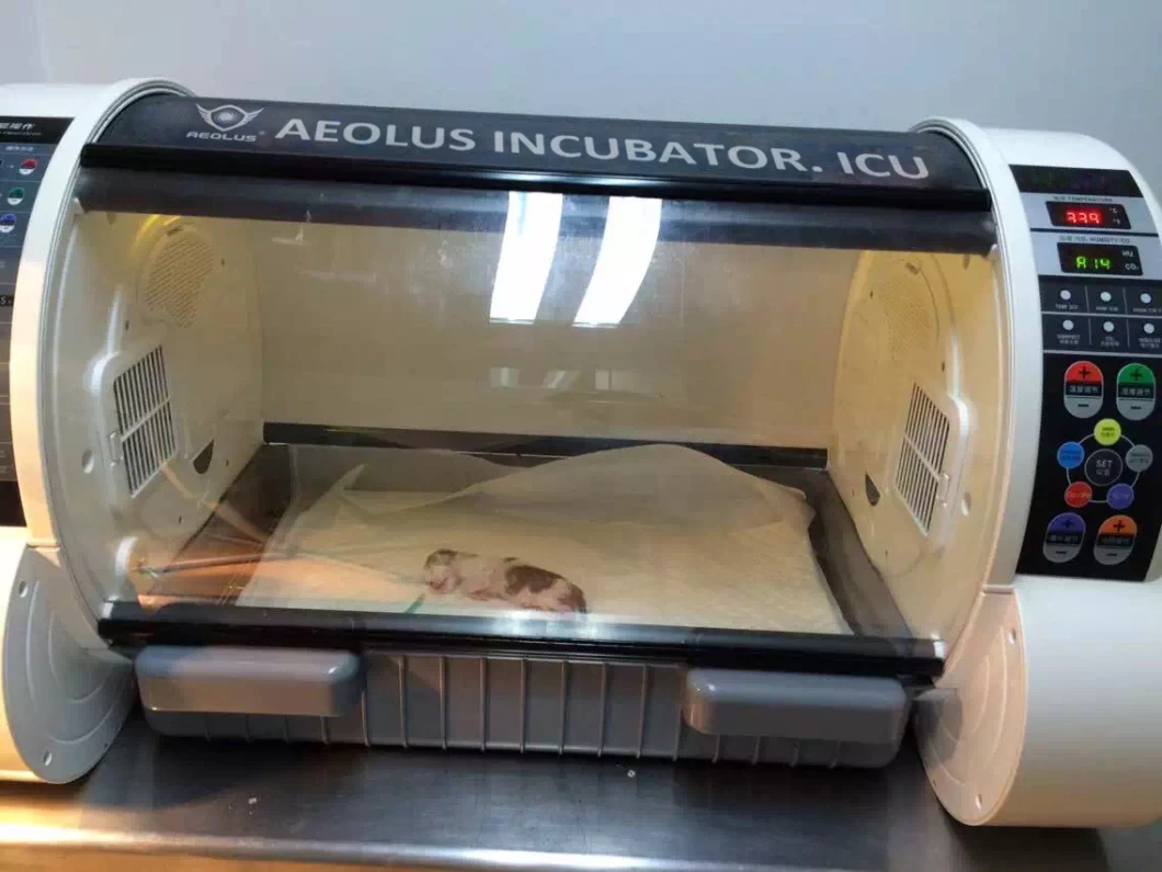 Automatic Medical Veterinary ICU Incubators Pet Cat Dog Puppy Incubator for Sale